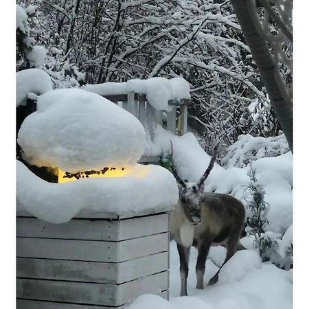 רובניימי Snowcrystal Home With Jacuzzi And Sauna מראה חיצוני תמונה