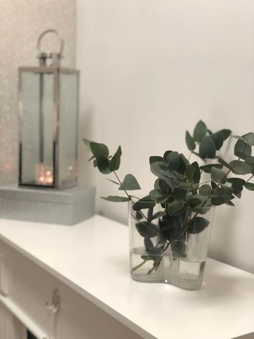 רובניימי Snowcrystal Home With Jacuzzi And Sauna מראה חיצוני תמונה